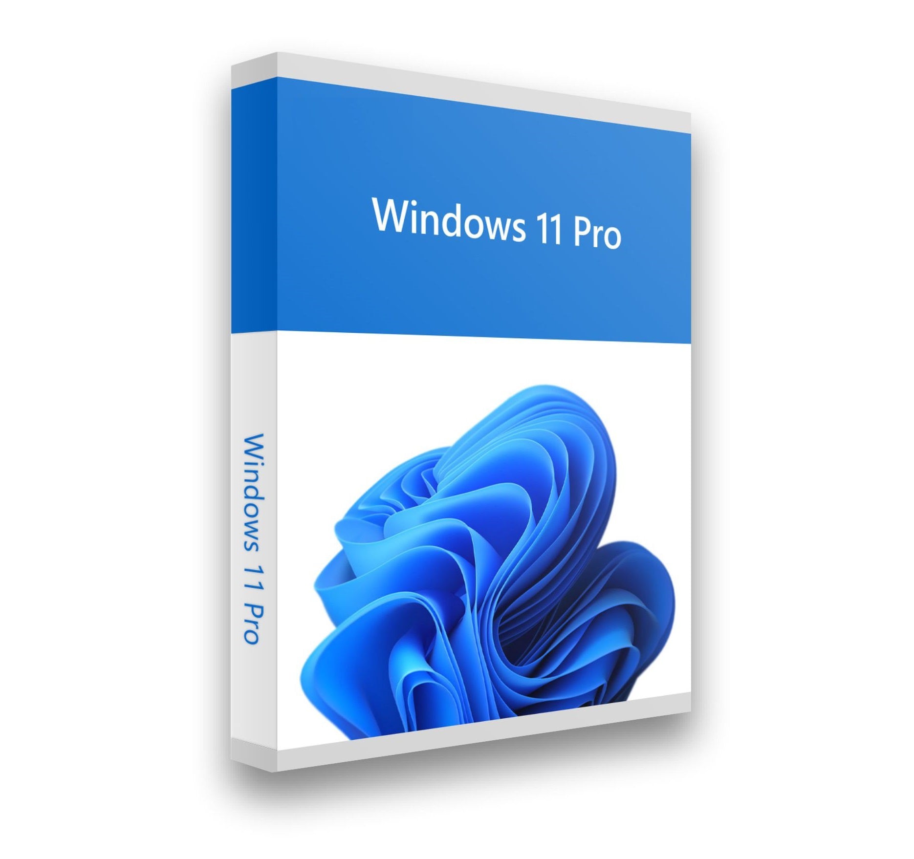 Windows 11 Pro License